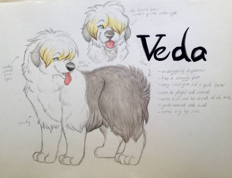 Veda - a fursona reference sheet