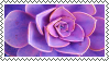 Purple Succulent Stamp by Galactic-Fire