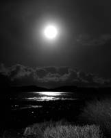 Black and White Evening Moonlight