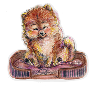 Chibi-Dogs. Pomeranian