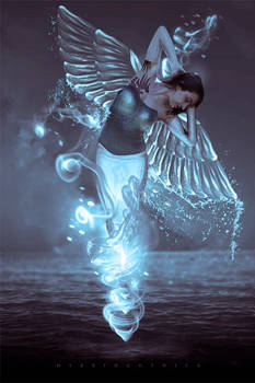 Chromasis Flight.