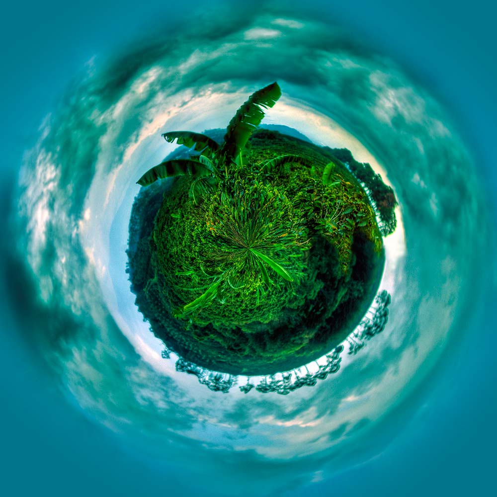 Coffee Plantation Planet