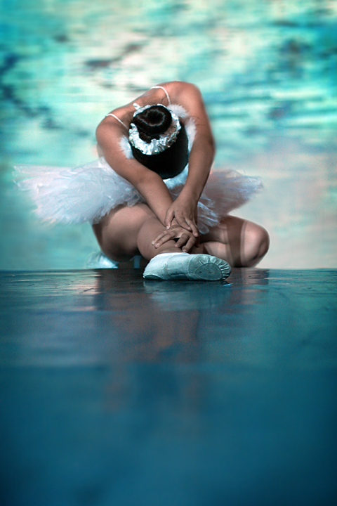 The Swan Lake 3