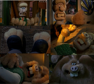 Wererabbit Transformation