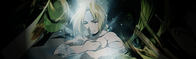 FMA SIGN v4