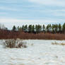 Vermont Landscape December