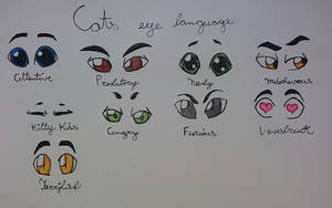 Top Cat's gang eye language