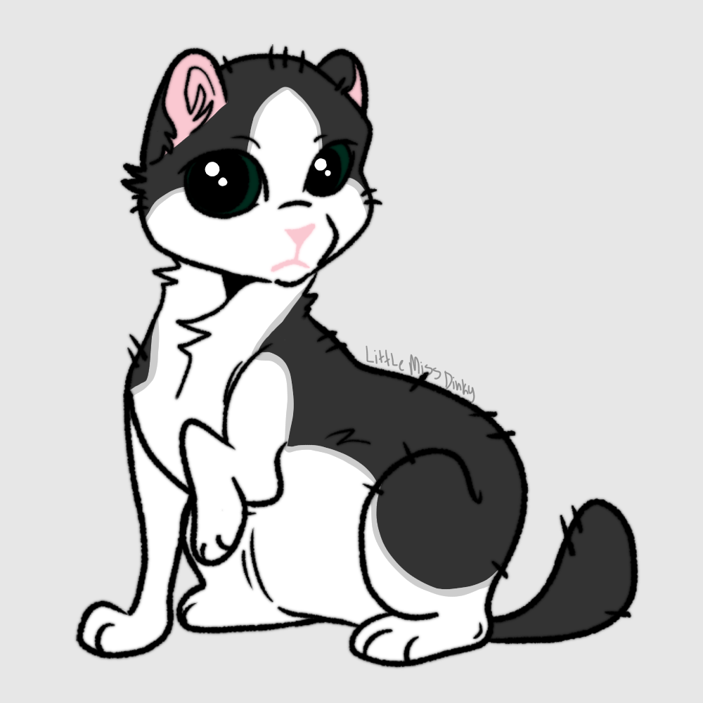 Webkinz black and best sale white cat