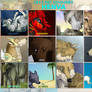 2013 ART SUMMARY