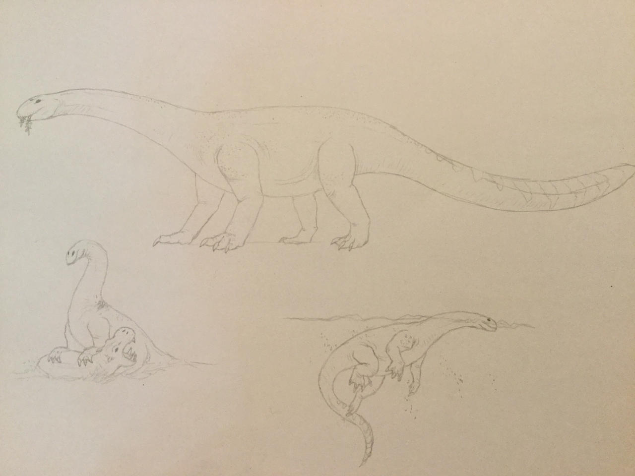 Speculative Biology of the Mokele-Mbembe! 
