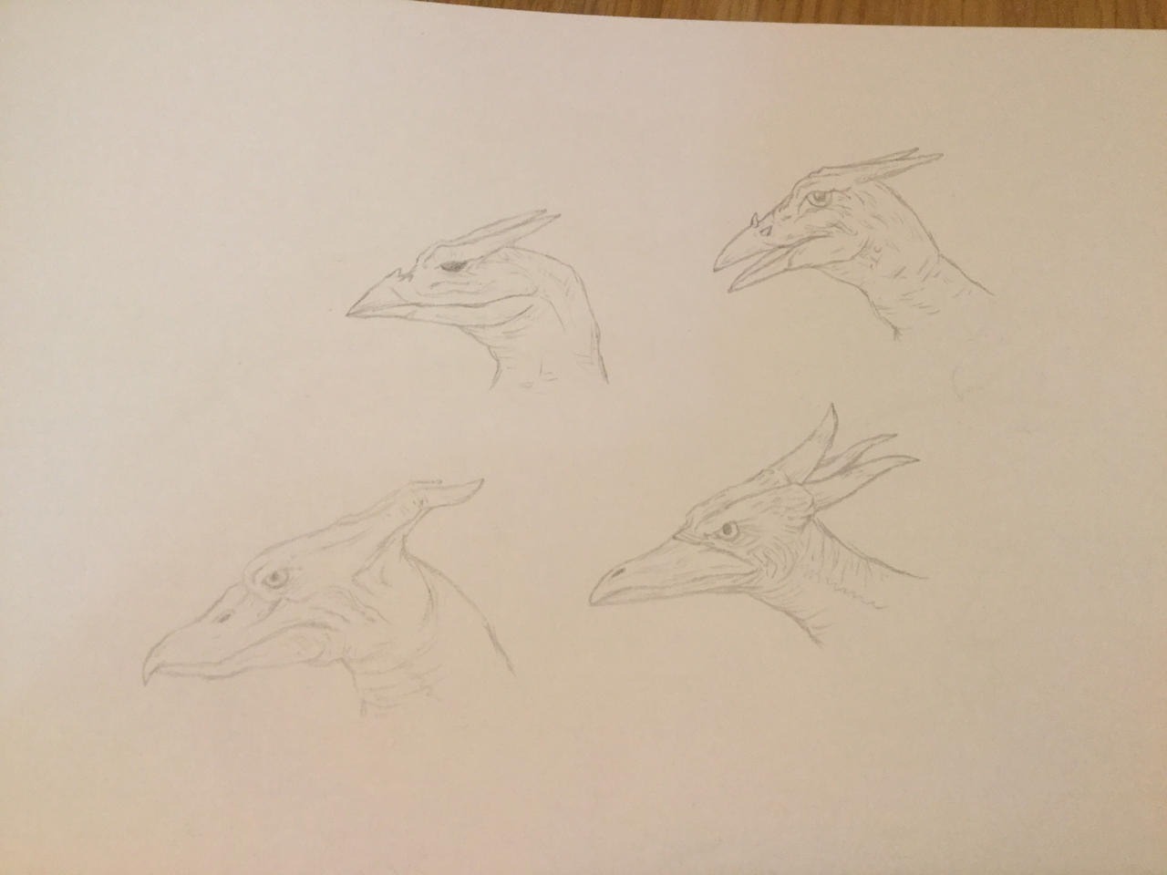Rodan throughout the years by ryaquaza1 on DeviantArt