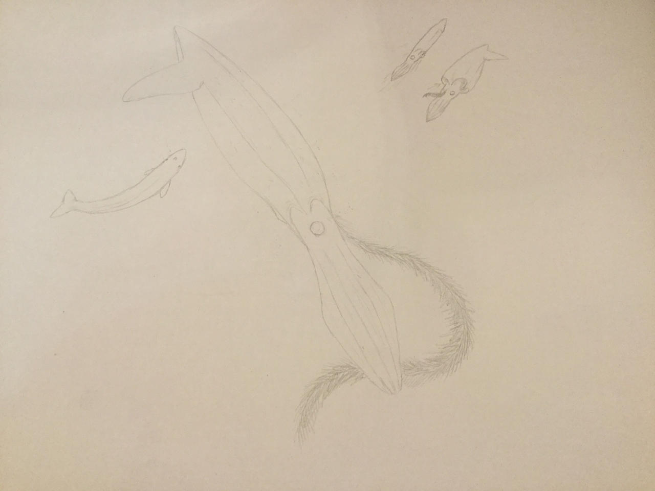 The Bloop