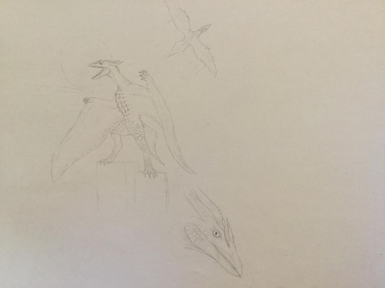 Rodan Red Sign Rodan redesign by ryaquaza1 on DeviantArt