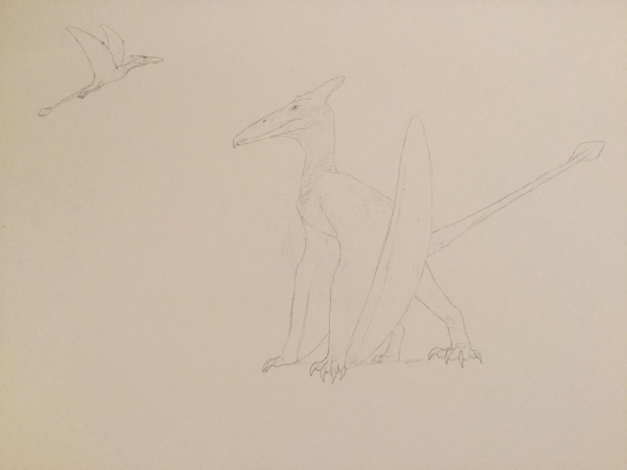 Hewan Ropen The Ropen by ryaquaza1 on DeviantArt