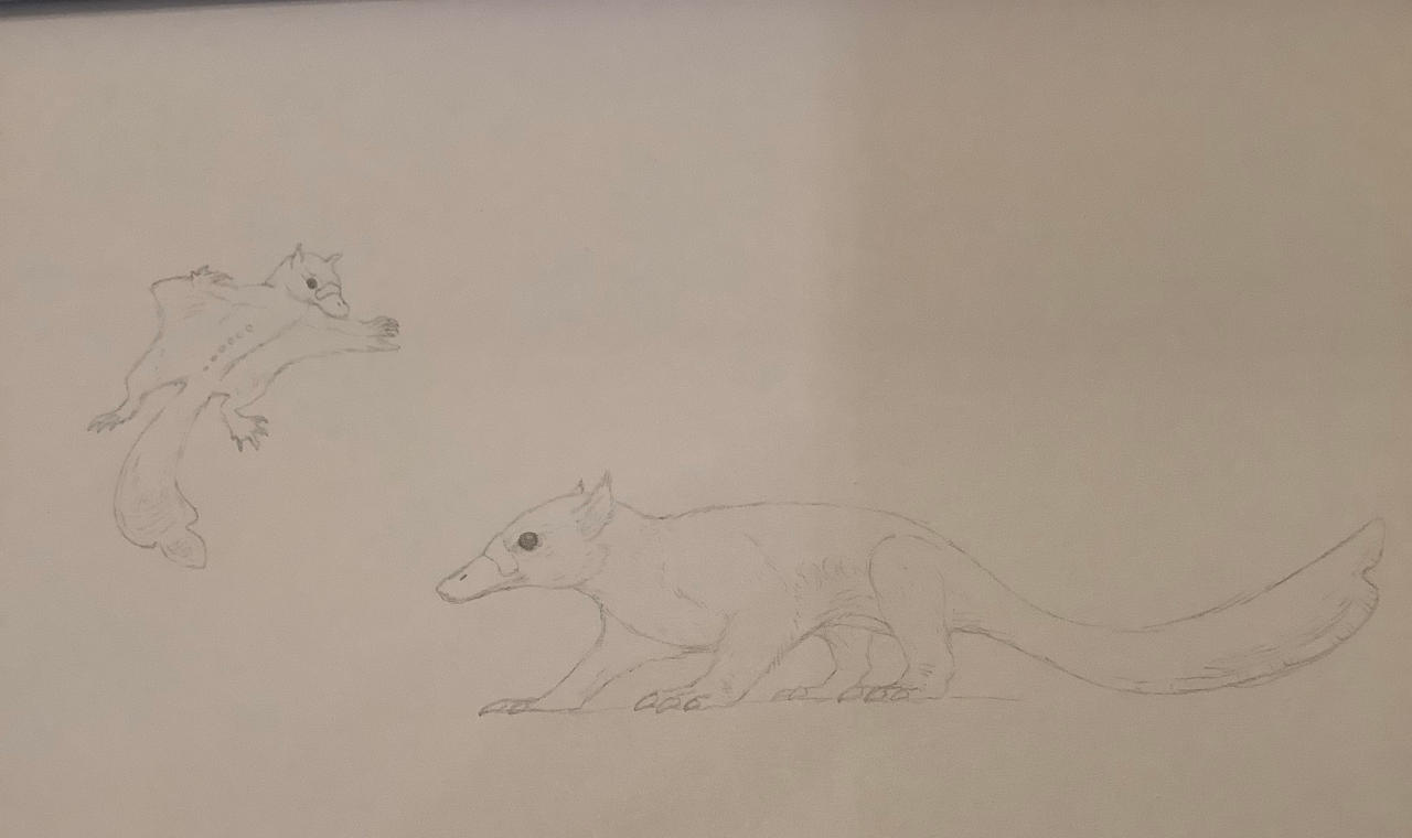 Ark Survival Evolved: Maewing by ryaquaza1 on DeviantArt