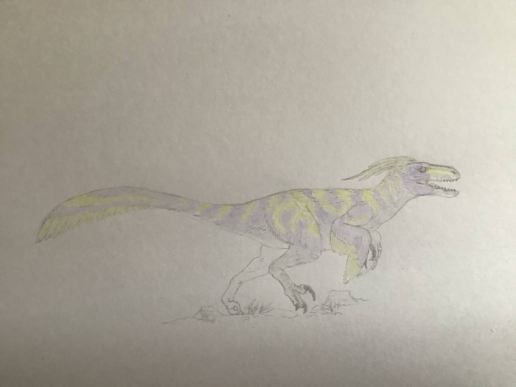 Pouncing Raptor Outline Utahraptor by ryaquaza1 on DeviantArt