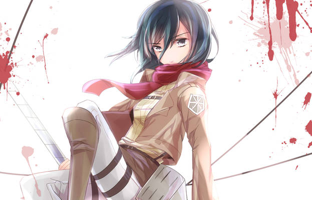 Shingenk no Kyoujin Mikasa