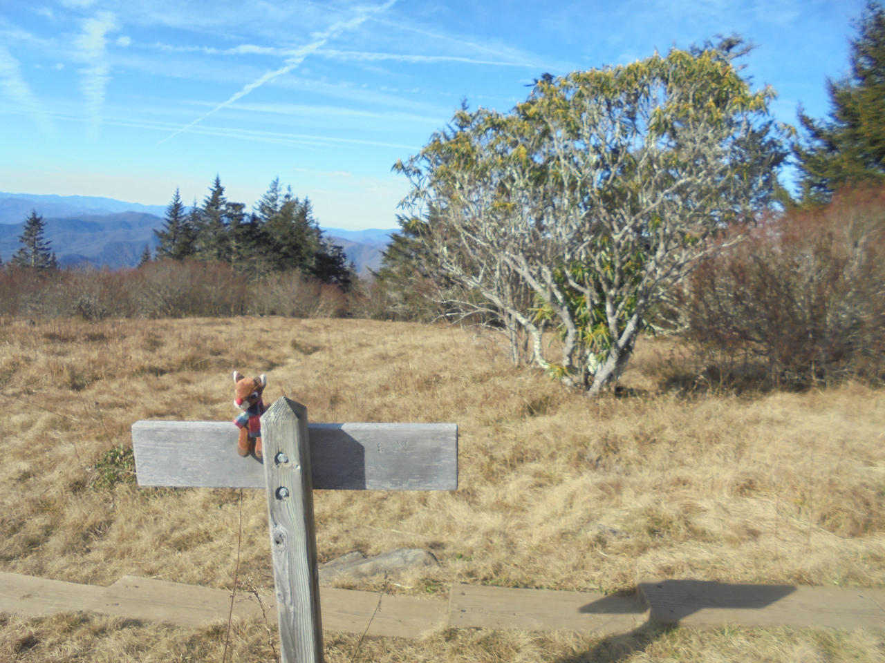 Forney Ridge Loop Rudolph the Red Nosed Reindeer on Forney Ridge by burtonfan422 on ...