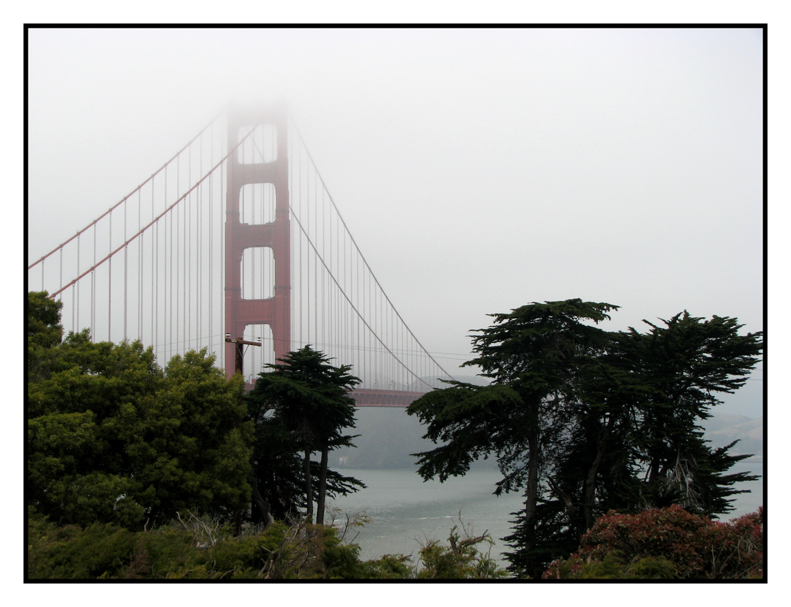 Foggy Day on the Bay