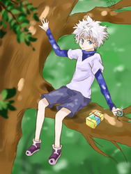 H x H - Killua