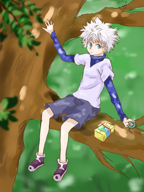 H x H - Killua