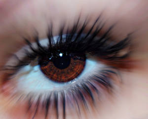 My eye ._.