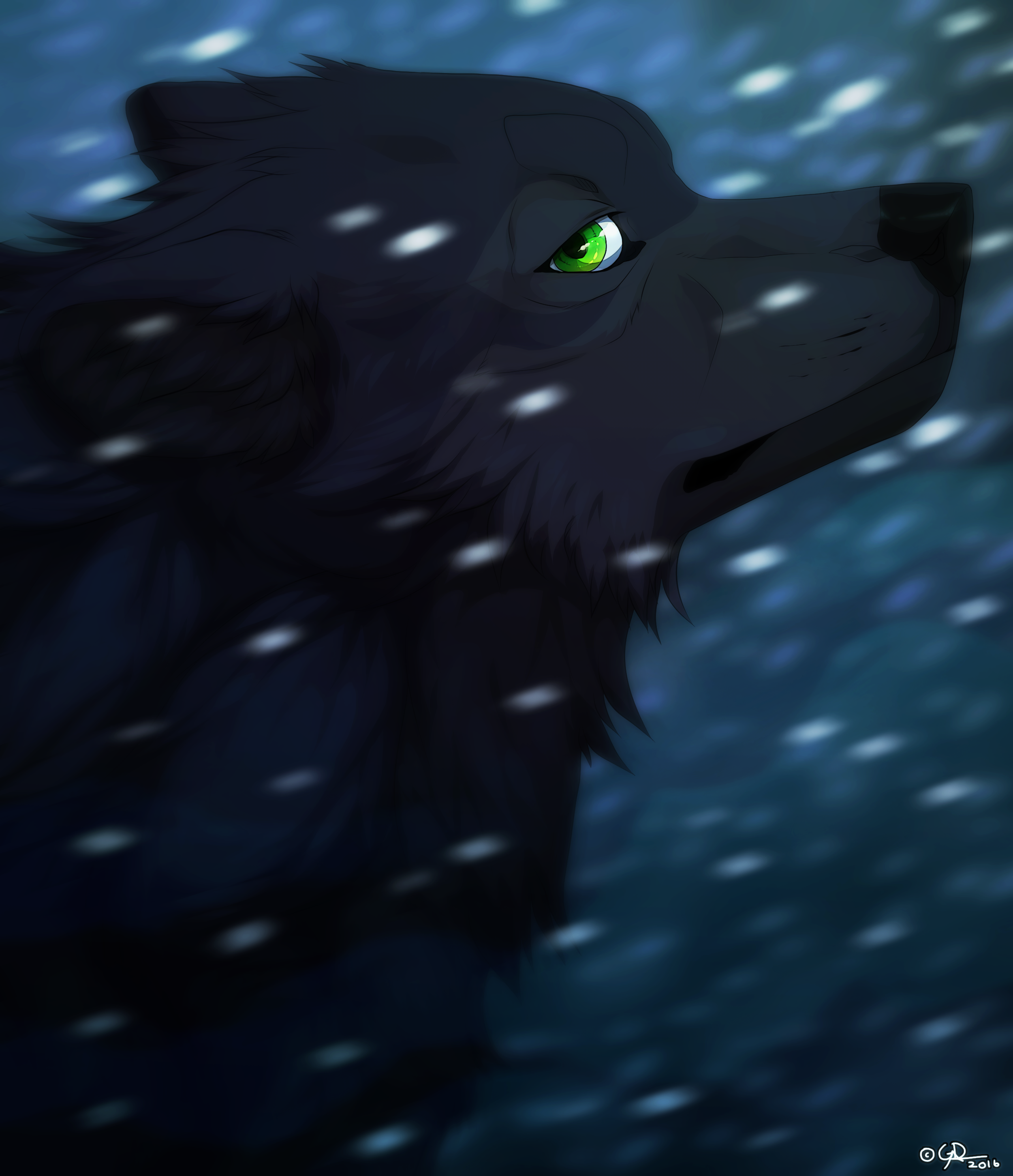 Jera fanart by GoldenDragonART