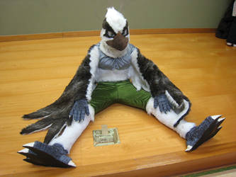 Reim the osprey