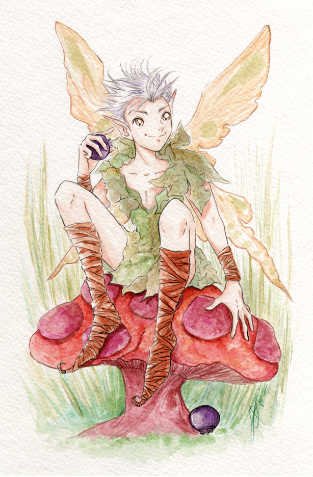 Pixie Boy