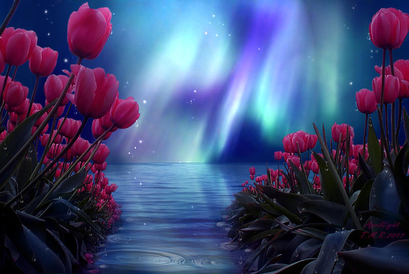 In Memory of My dear Father by AprilLight