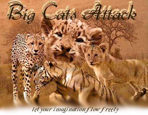 Big Cats Attack logo