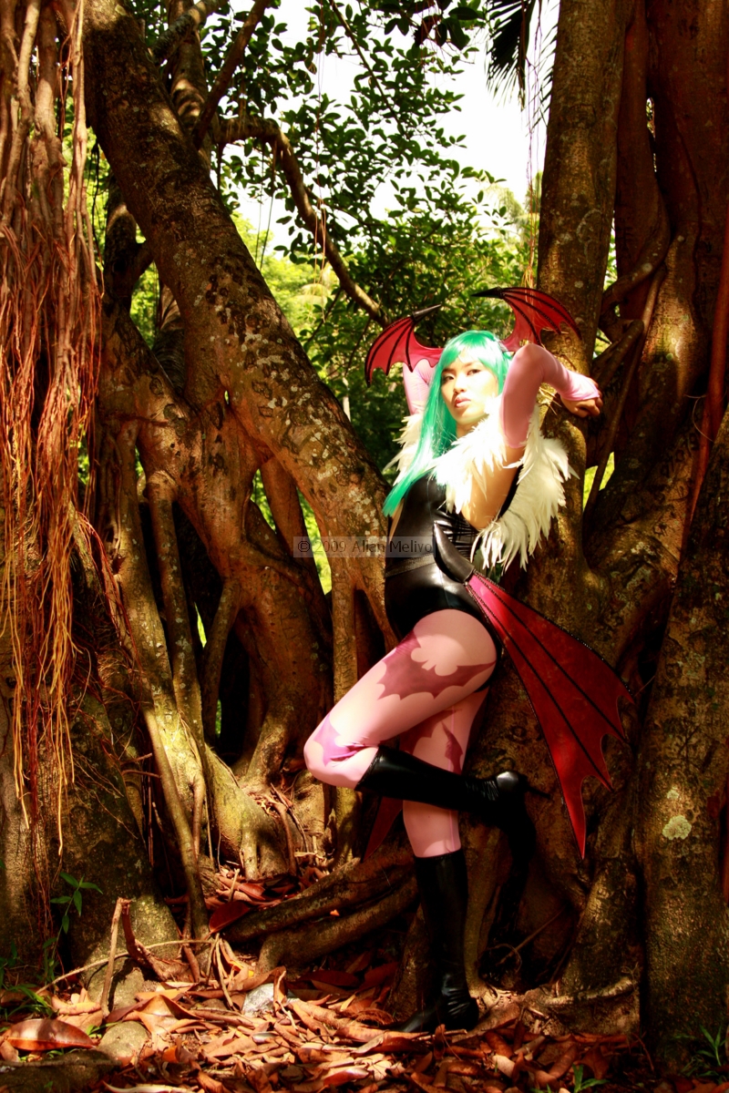 Sheena as Morrigan 5