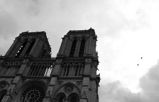 notre dame