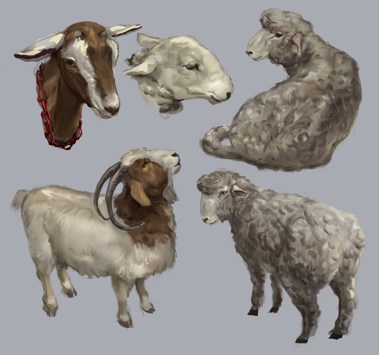 Deviantart 2007 Sheep Sheep by strazi on DeviantArt