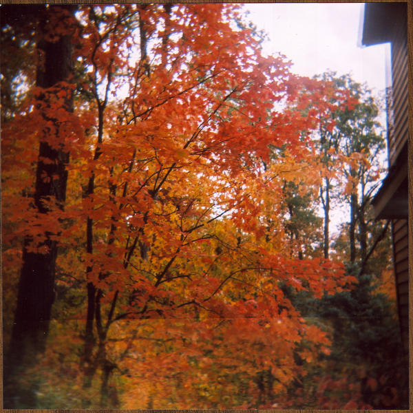 Burst of fall by ourXtime2shine on DeviantArt