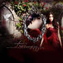 Elena Gilbert The Vampire Diaries