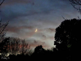 Moon On A Walk