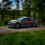 Ford Focus at Jim Clark Rally
