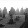 An Old Graveyard - 3