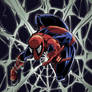 Spiderman Web