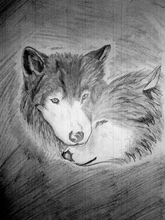 love wolves