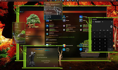 My windows 2009 desktop