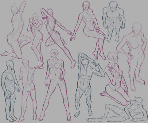 Anatomy Practice 2