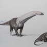 Adult and subadult Brontosaurus excelsius
