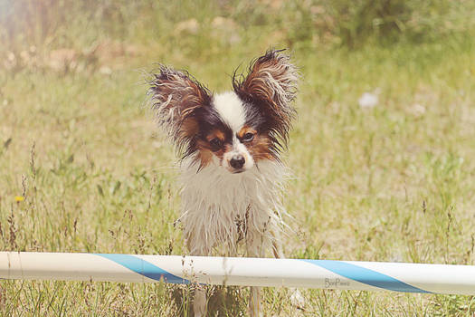 Wet in Summer