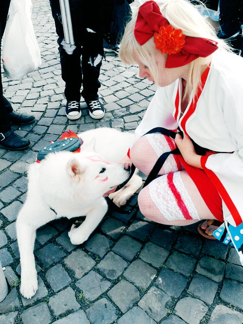 Okami by nyappy-aoi
