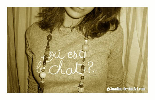 Ou est Le Chat ?