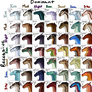 49 WoF Adopts Challenge - CLOSED