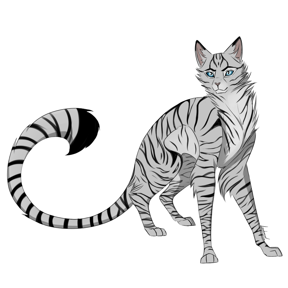Warrior cats - Longtail by LaughingOwls on DeviantArt
