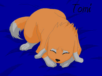 Tomi - Sleeping